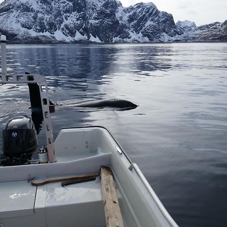 Seafront Holiday Home Close To Reine, Lofoten Sund  Eksteriør bilde