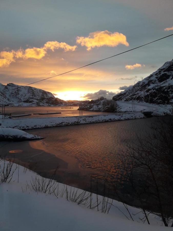 Seafront Holiday Home Close To Reine, Lofoten Sund  Eksteriør bilde